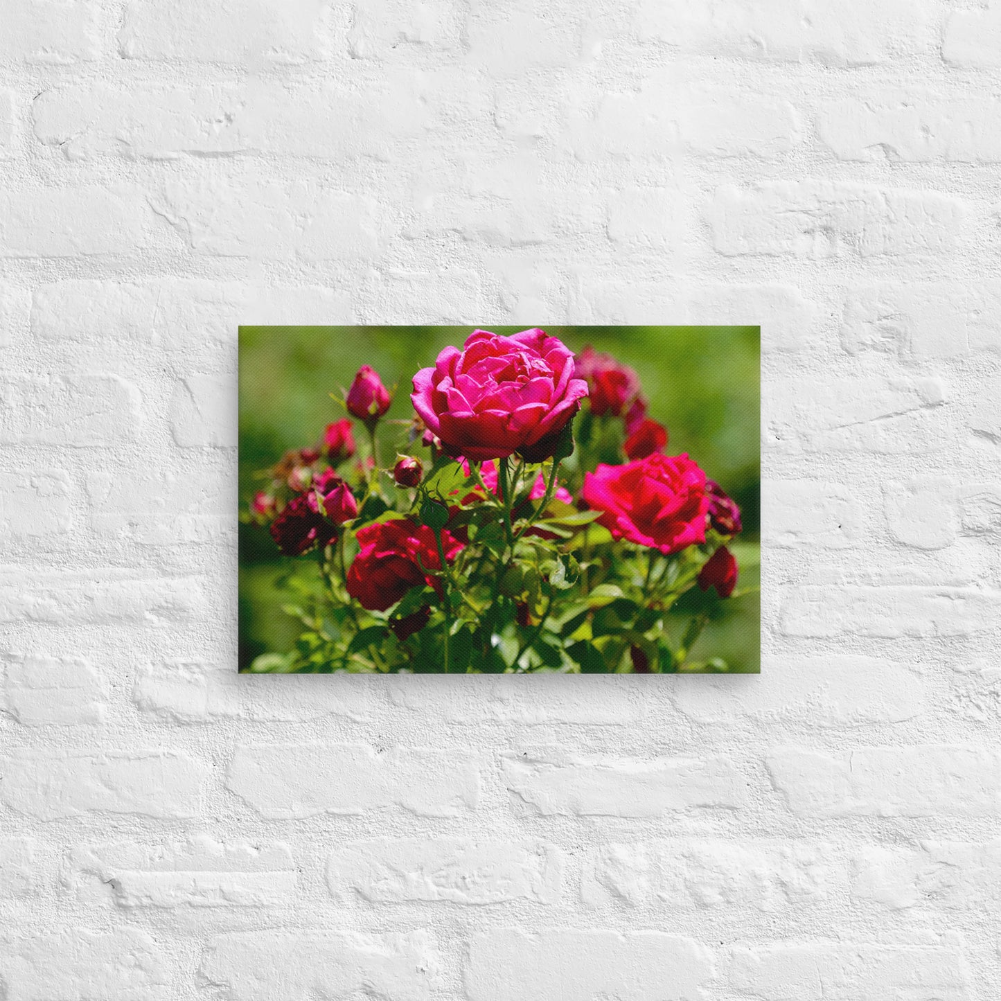 Rose Canvas